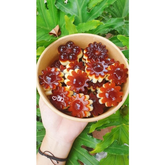 Combo 50 Khay Đá, Khay Thạch