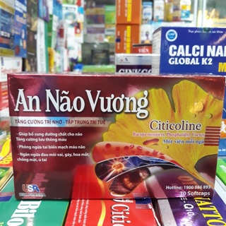 AN NÃO VƯƠNG - HOẠT HUYẾT DƯỠNG NÃO - TĂNG CƯỜNG TUẦN HOÀN MÁU NÃO - NGĂN NGỪA TAI