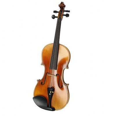 Đàn violin vân vẽ