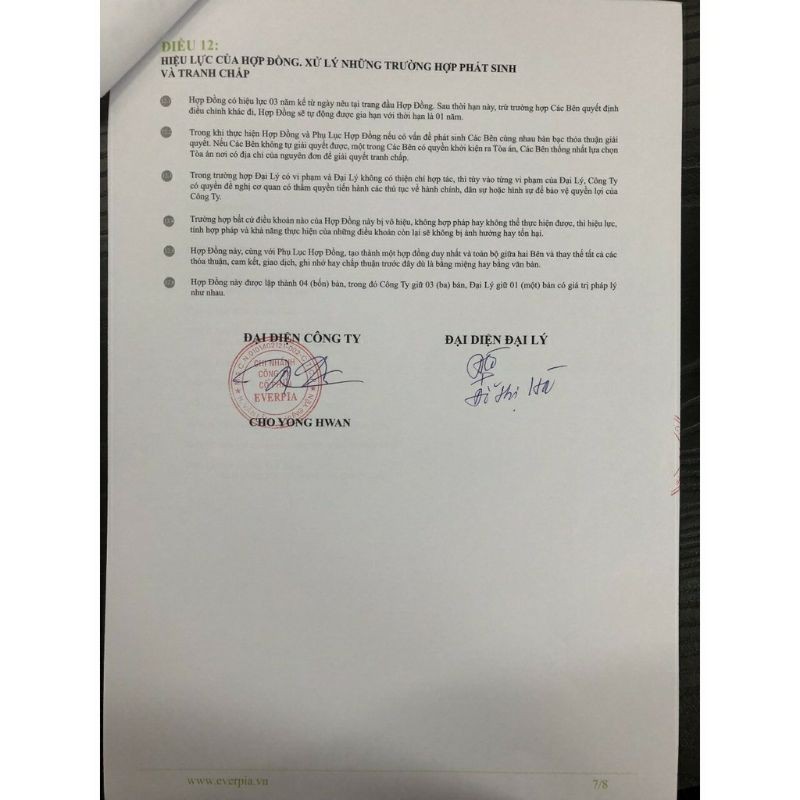 Bộ ga chun Everon chính hãng