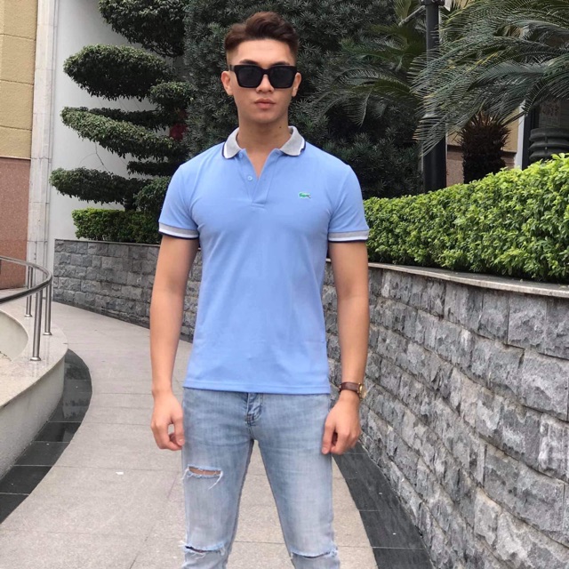 Áo nam poloo cá sấu