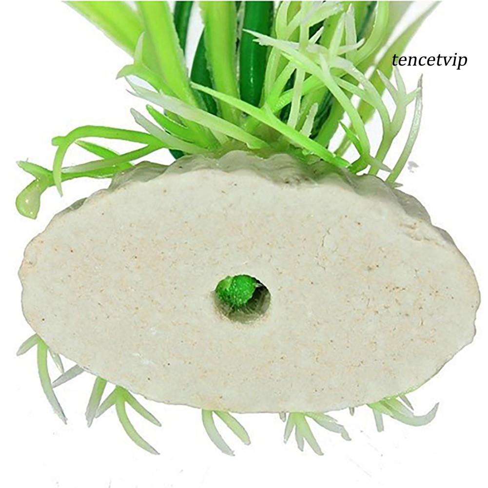 Cỏ Nhân Tạo Trang Trí Bể Cá