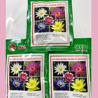 HẠT GIỐNG HOA SÚNG THÁI MINI MIX (WATER LILY)