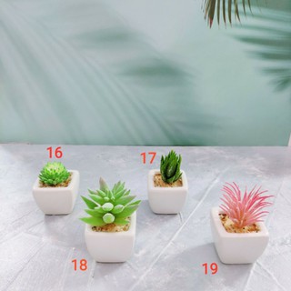 Sen đá giả mini