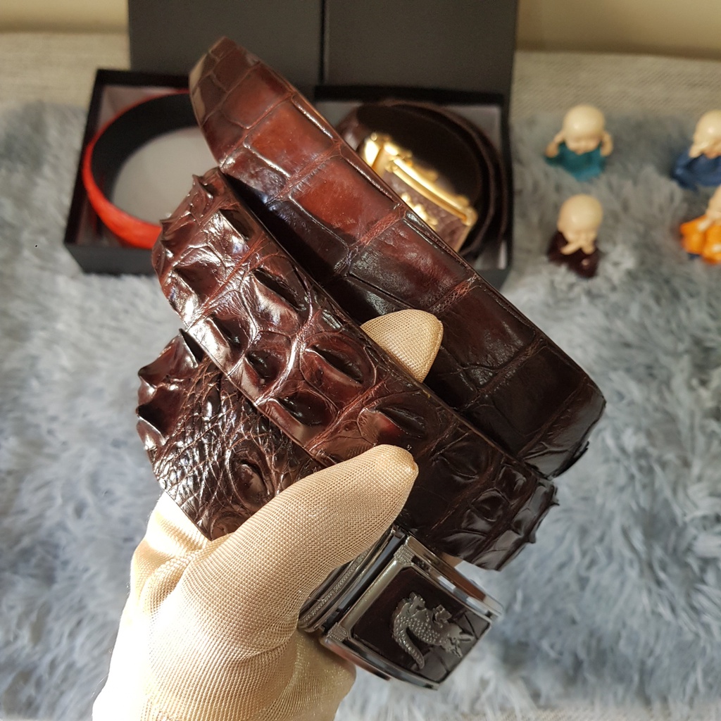 Thắt Lưng Da Cá Sấu, Dây Lưng Da Cá Sấu Gù Liền Nguyên Con Bản 3,5 cmI Màu Sắc Nâu Cafe I Bảo Hành 24 Tháng