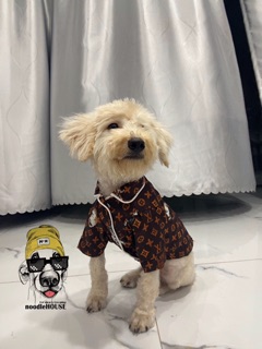 Pijama lụa LV dành cho chó mèo [QUẦN ÁO THÚ CƯNG]