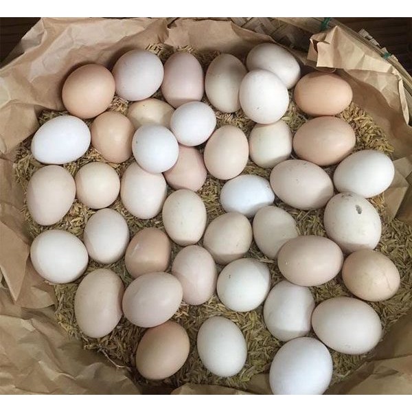 Trứng Gà Ta Sạch Giao Siêu Tốc 1h