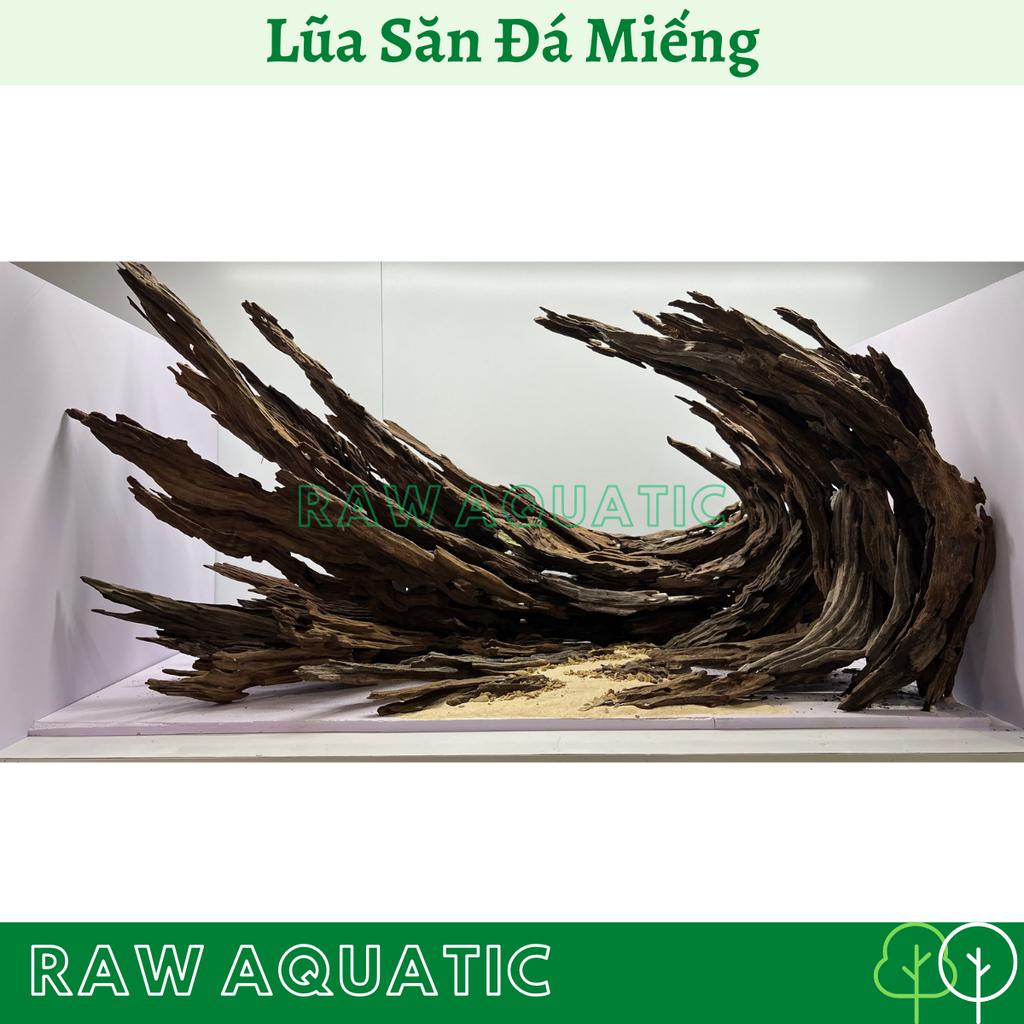 Lũa Săn Đá Miếng Trang Trí, Setup Bể Cá Cảnh, Bể Thủy Sinh