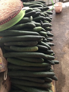 Bí đao sấy khô làm trà 500gr