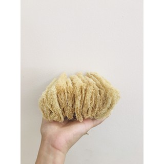 Set xơ mướp tắm/ rửa chén (6 miếng)