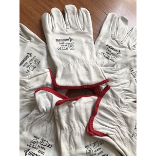 Găng tay da hàn tig ngắn -100% da bò - Size 9