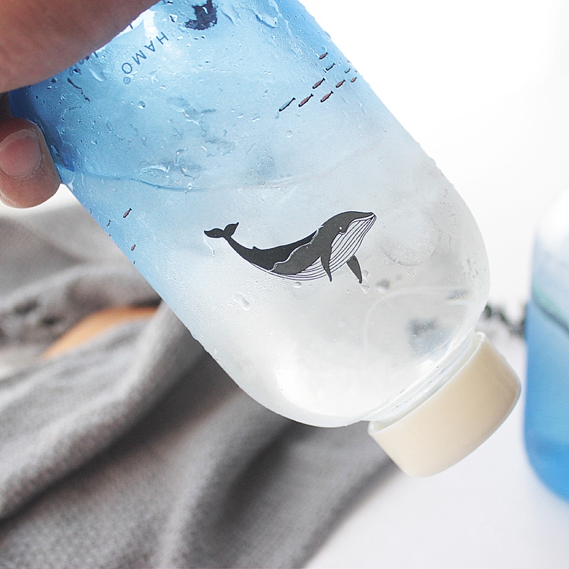 Bình Nước Thuỷ Tinh Màu Gradient