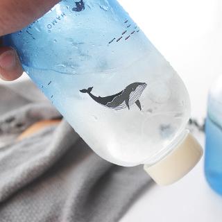 Bình Nước Thuỷ Tinh Màu Gradient