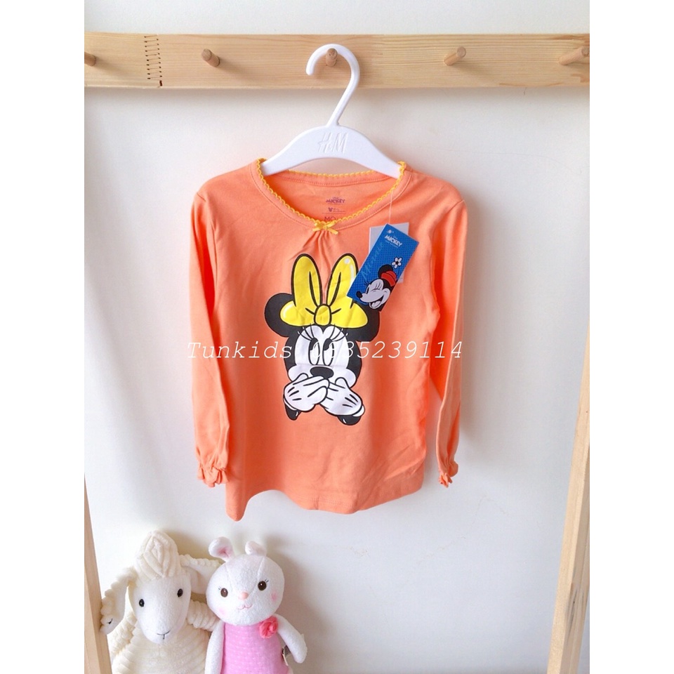 Áo phông áo cotton xuất xịn ZY, Disney, Mo kids cực đẹp