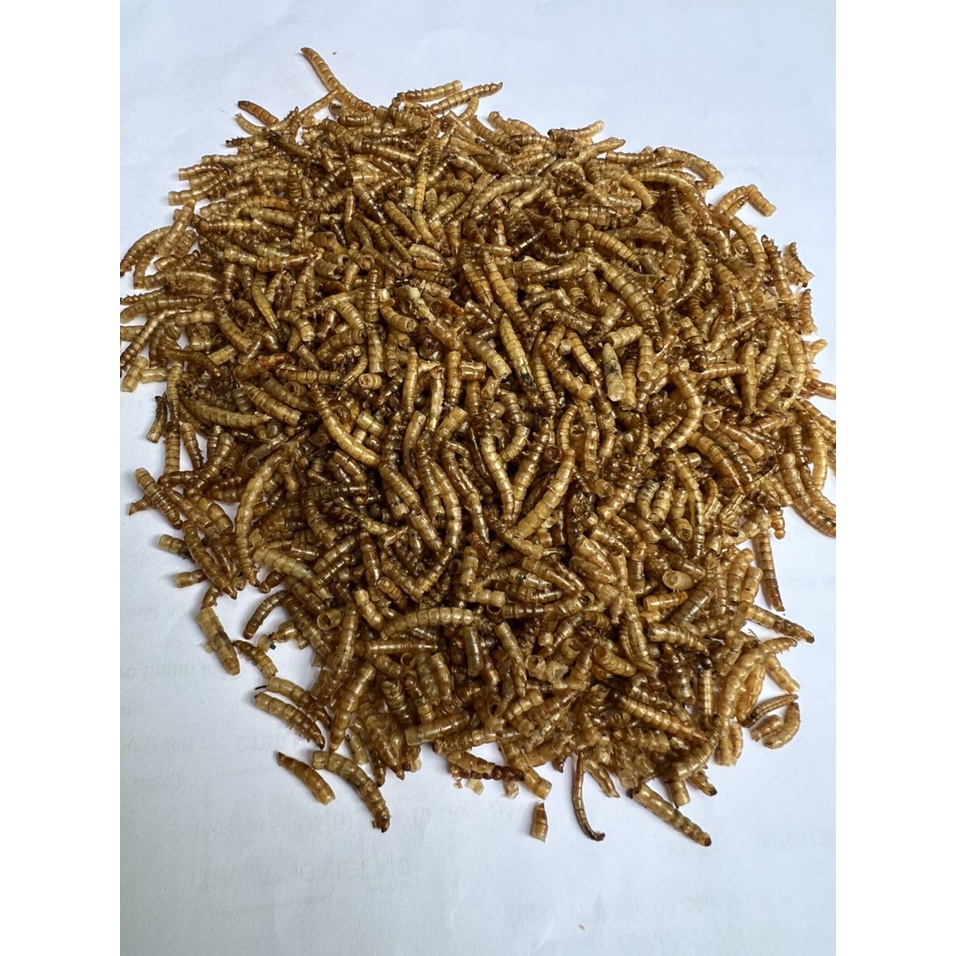 Sâu gạo sấy khô cho hamster, chim, chuột và sóc gói 200gr
