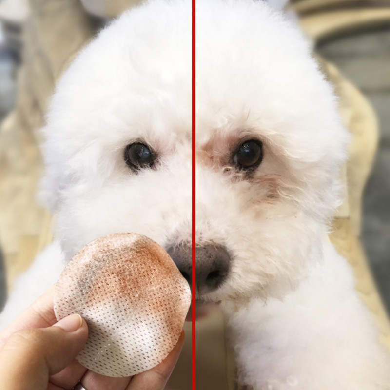 Miếng lau chùi các vết bẩn cho thú cưng