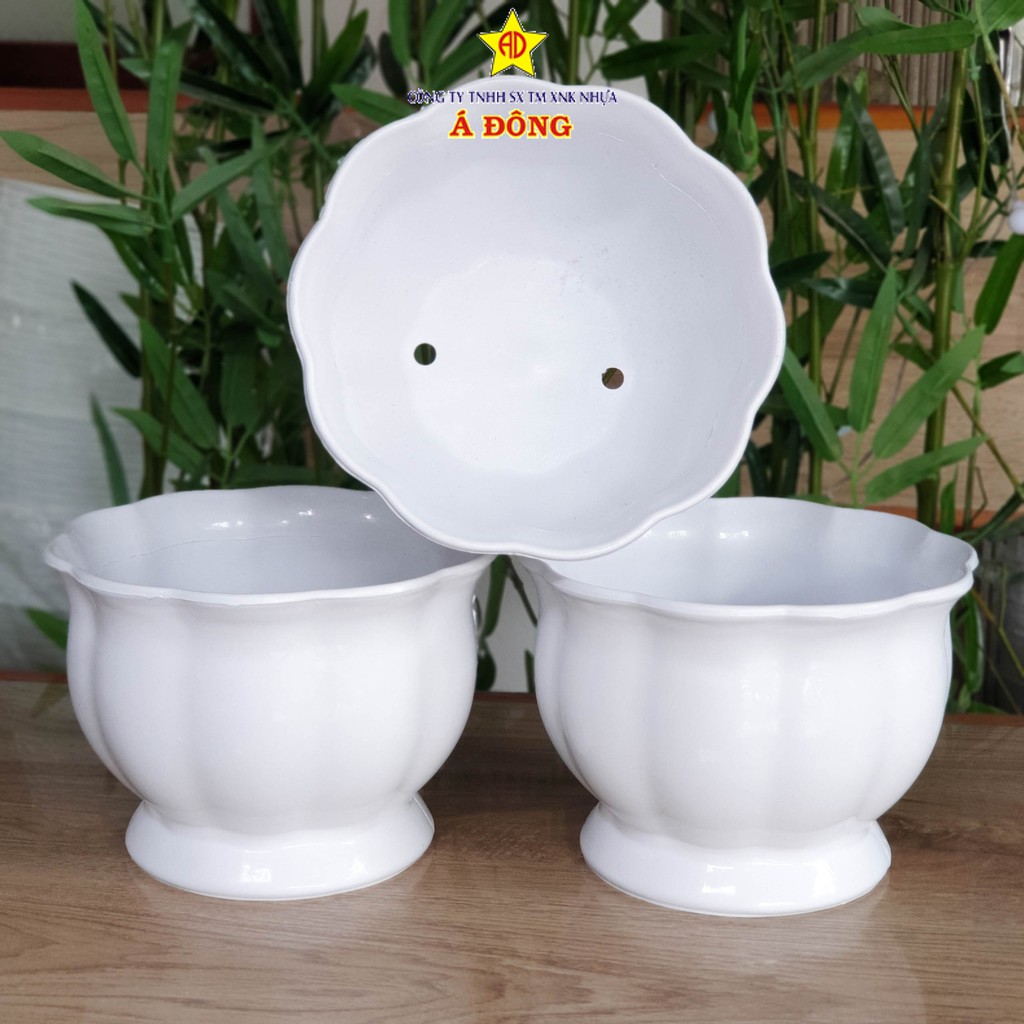 Chậu Trái Bí 21cm- Chậu Nhựa Á Đông - Chậu nhựa trồng hoa tphcm giá khuyến mãi