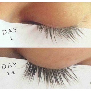 DƯỠNG MI FEG CHÍNH HÃNG :CAM KẾT DÀI MI, CONG MI .DÀY MI . ĐEN MI, MI CHẮC KHỎE - HÀNG CÓ SẴN | BigBuy360 - bigbuy360.vn