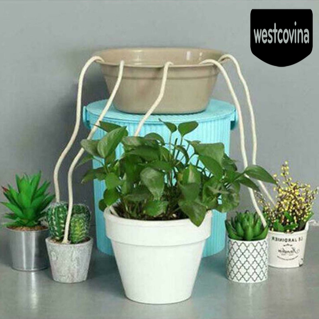 [Hot]☀ Dây Bấc Tự Tưới Nước Ổn Định Tiện Dụng Cho Gia Đình