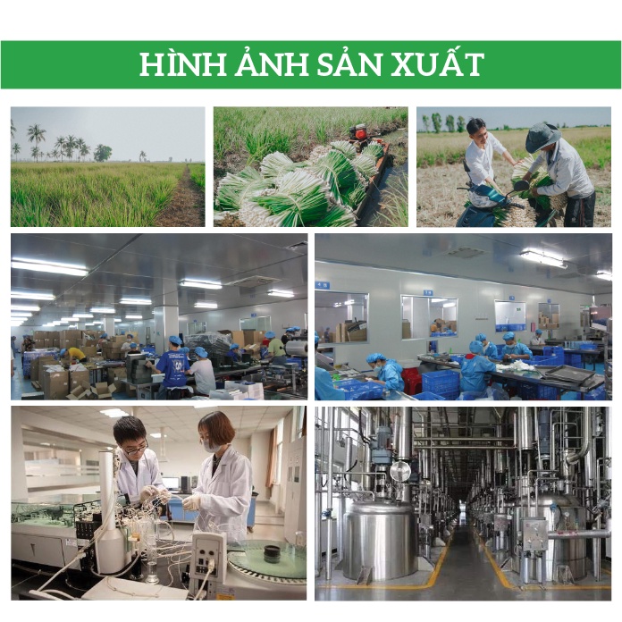 Tinh dầu Cà Phê nguyên chất hữu cơ ÔNG TÂY tận xưởng sản xuất khử mùi làm thơm phòng sát khuẩn thư giãn an toàn cho bé.