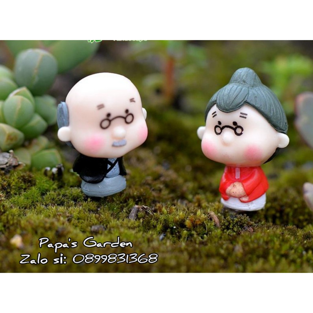 Sen đá tiểu cảnh ❤️ sen đá ❤️Cặp đôi ông bà già mini, trang trí tiểu cảnh mini, terrarium, bể cá