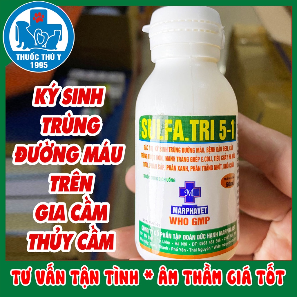 [CHÍNH HÃNG] SULFA.TRI 5-1 50ml MARPHAVET phòng bệnh đường ruột trên gà, vit, ngan, chó, mèo, thú cảnh, chim cảnh