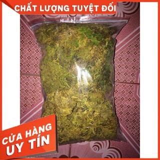 Rêu rừng khô.