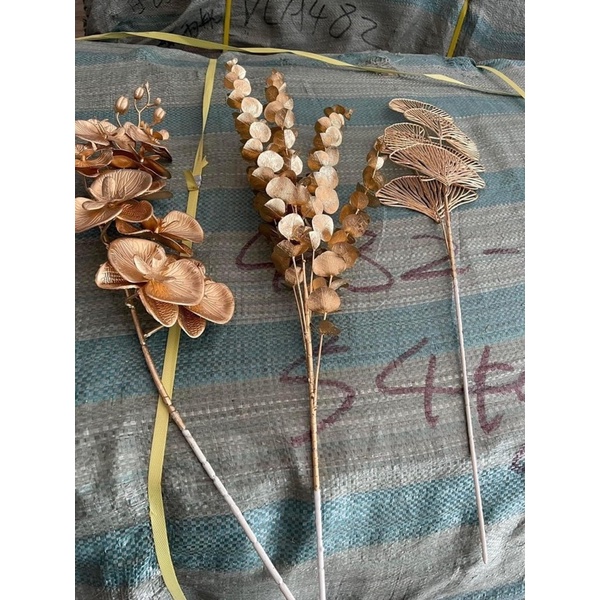 Kép trạng nguyên, rẻ quạt, lá táo đồng, nhánh đào đông, cành lan đồng