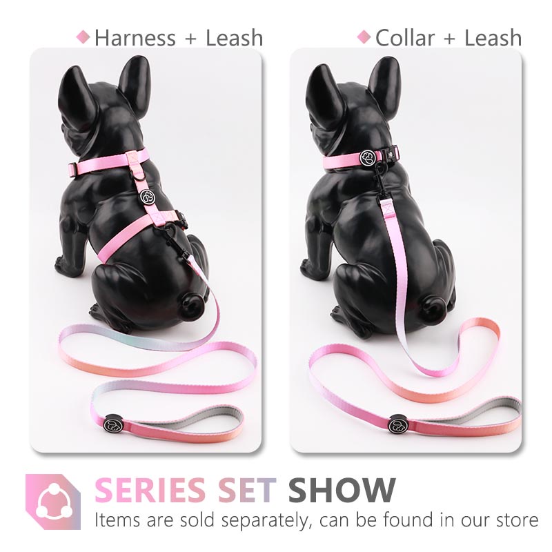 HamshMoc Vòng cổ họa tiết ombre màu gradient có thể điều chỉnh cho thú cưng cỡ nhỏ/vừa/lớn 1