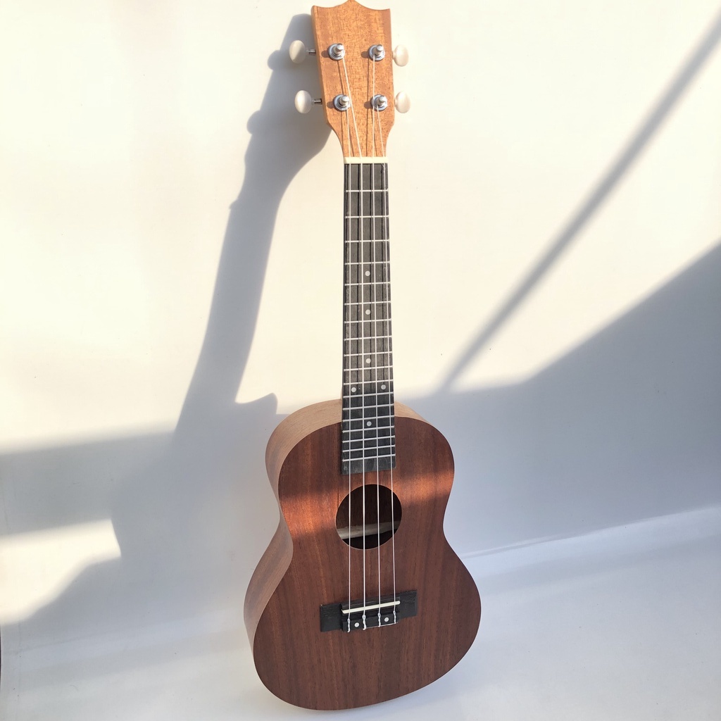 Đàn Ukulele Concert size 23 HK trơn- HÀNG CÓ SẴN