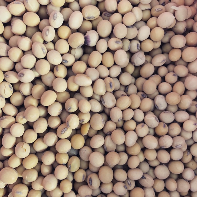 Đỗ tương quê 500g