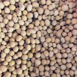 Đỗ tương quê 500g