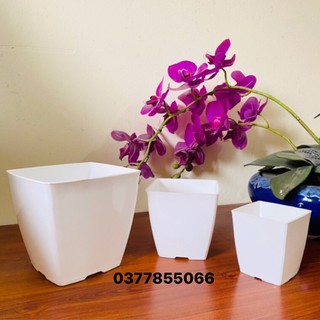 Chậu nhựa trắng trồng cây bằng nhựa PP dẻo, đàn hồi cao, chịu nắng mưa tốt, kích thước đa dạng, hàng đẹp nhiều cỡ