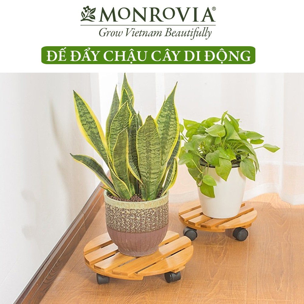 Đế lót để chậu cây có bánh xe MONROVIA làm giá đỡ kệ hoa cây cảnh, màu vàng đường kính 30 cm, tải 80kg