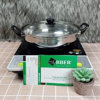BẾP TỪ ĐƠN ARBER AB300