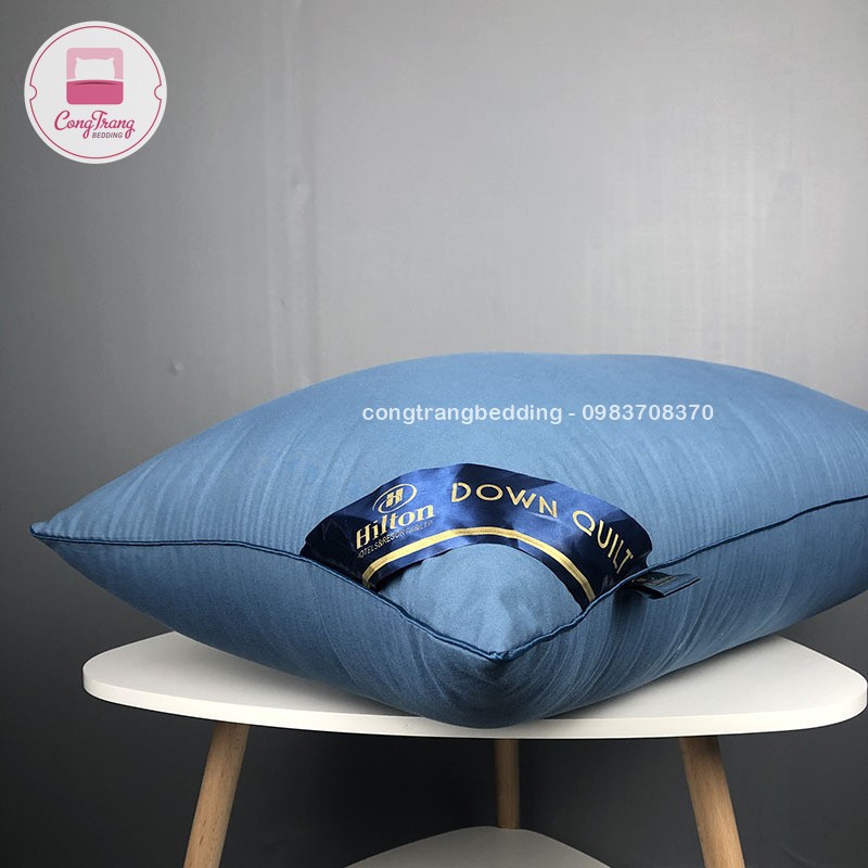 Ruột gối đầu cao cấp Pillow Ép Hơi, Có Khoá Kéo - Nhiều Màu Tiêu Chuẩn 5* -  Kích Thước 45x65cm