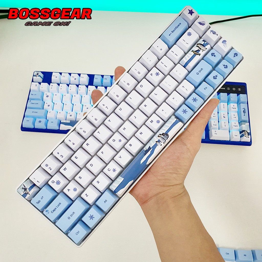 Bộ Keycaps Antarctic Penguins PBT 122 phím OEM profile chim cánh cụt nam cực ( Lắp được cho layout 65,66,68,... )