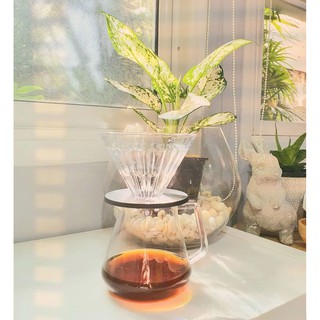 Bình đựng cà phê Timemore Server 600ml