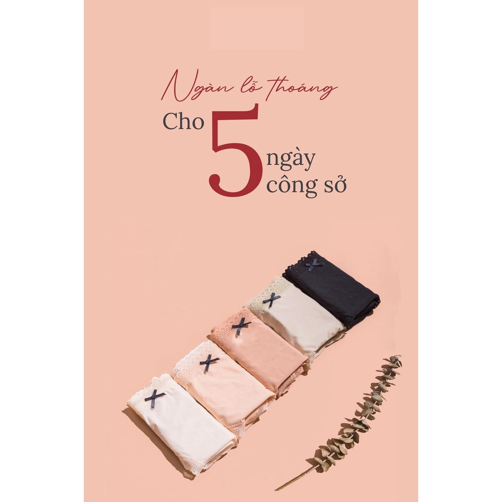 Hộp 3 chiếc quần lót nữ EMBRA cotton kháng khuẩn hoạ tiết viền hoa mã EBQL21