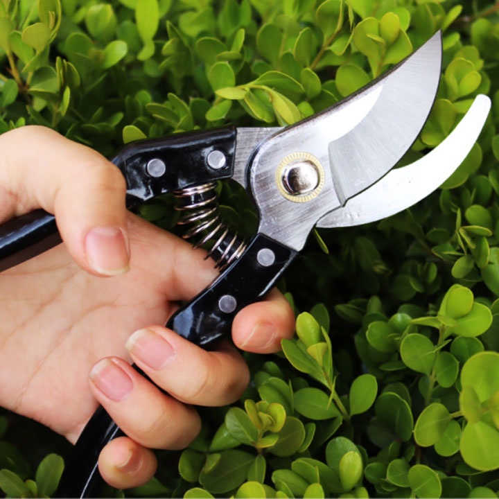 Kéo Cắt Tỉa Cành Cây Cao Cấp Lưỡi Sắc Bén Elysin- NNTM