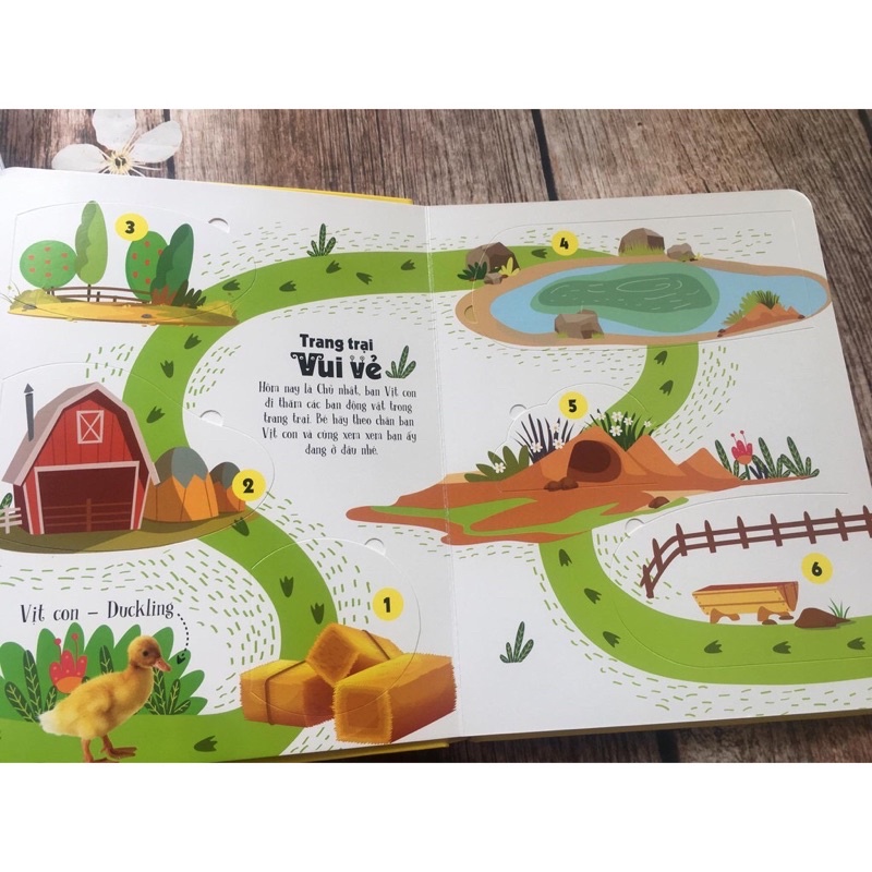 Sách tương tác - Lift-The-Flap - Lật Mở Khám Phá: First 100 Animals - 100 Từ Đầu Tiên Về Các Loài Động Vật