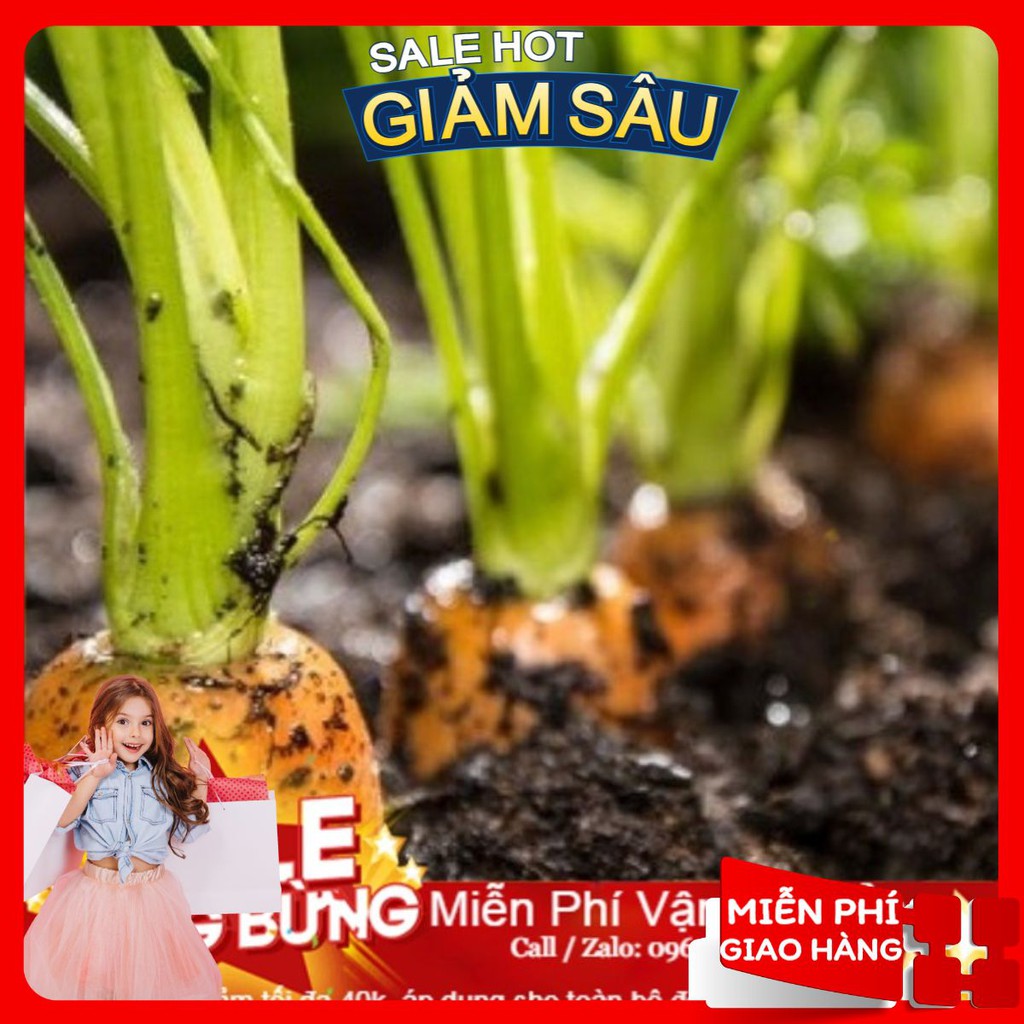 Hạt Giống Cà Rốt F1 - 100 Hạt / Gói