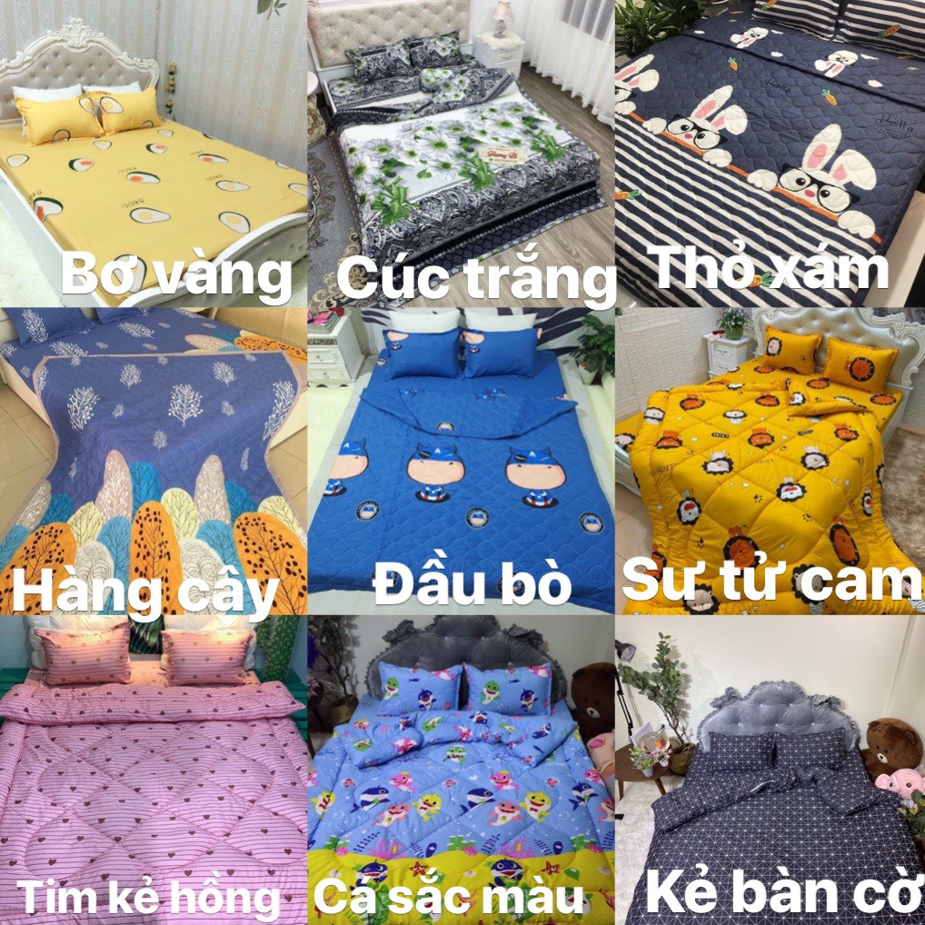 Bộ 1 Ga chun và 2 vỏ gối Cotton poly, chat chọn mẫu.