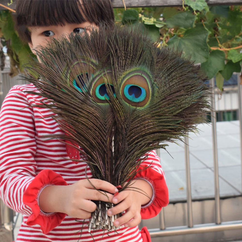 20 Lông công Ấn Độ 25-30cm – Mắt vừa tự nhiên 100% | BigBuy360 - bigbuy360.vn