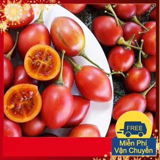 Hạt Giống Cà Chua Thân Gỗ