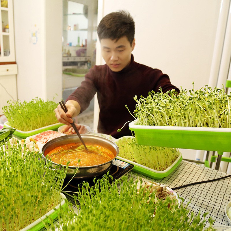 Bộ Khay trồng rau mầm thủy canh chuyên dụng 3 tầng - TKM-3.3