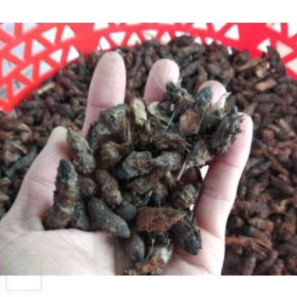 1kg Củ gấu khô hàng loại 1 thơm ngon