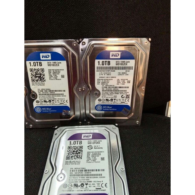 Ổ Cứng Wdc 1tb | BigBuy360 - bigbuy360.vn