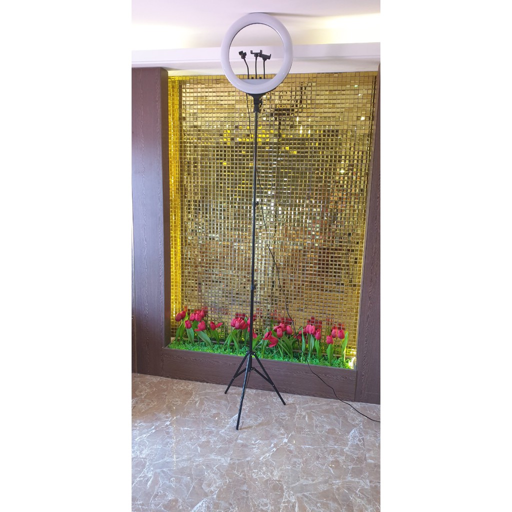 ĐÈN LIVESTREAM BÁN HÀNG, CHỤP HÌNH MAKE UP LIVE STREAM ,MAKEUP TRANG ĐIỂM | BigBuy360 - bigbuy360.vn