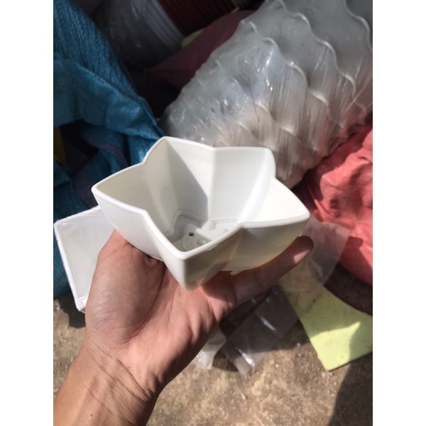 Chậu ngôi sao LS 14